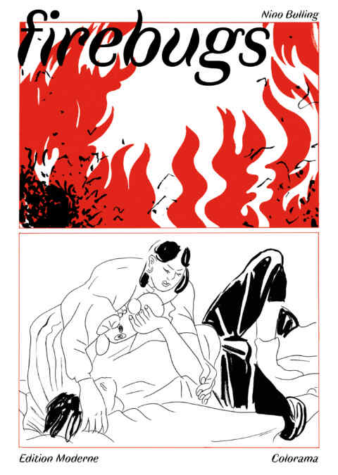 Nino Bulling: «firebugs» (ISBN: 978-3-03731-236-0)